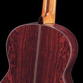 Hanika-PROFESSIONAL LINE-HE-TorresCeder-Cedro neck with laminated rosewood
