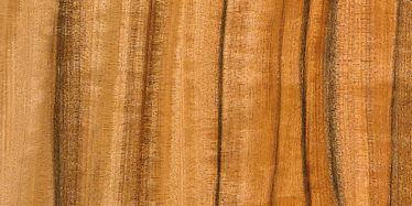 Hanika Materialien Holz Tineo