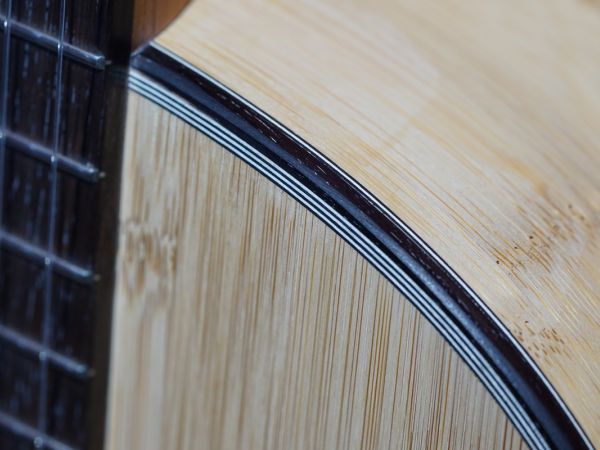 Hanika-Guitars-Bamboo