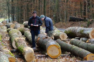 Armin und Tobias Hanika bei einer Holzsubmission